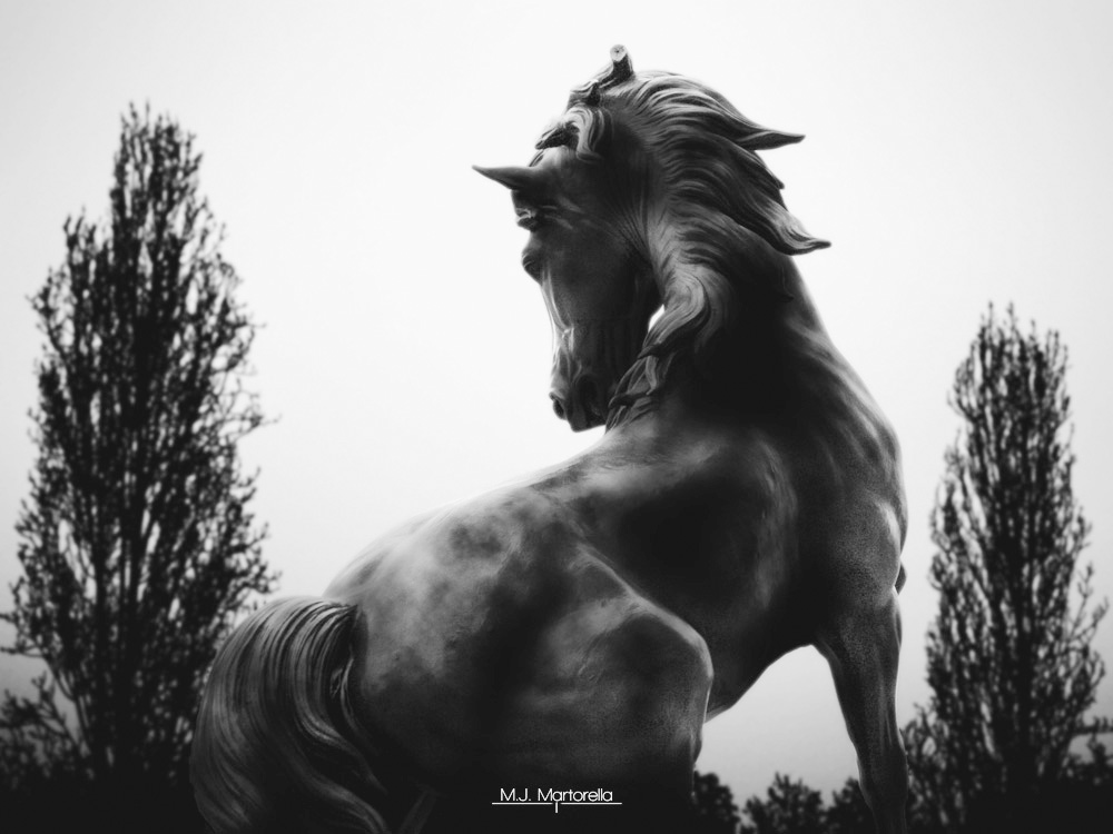 IMAGE: http://araminta.net/data/fm/horse20100104.jpg